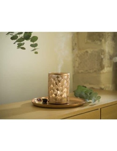 DIFFUSEUR BRUME DE PARFUM ÉDITION...