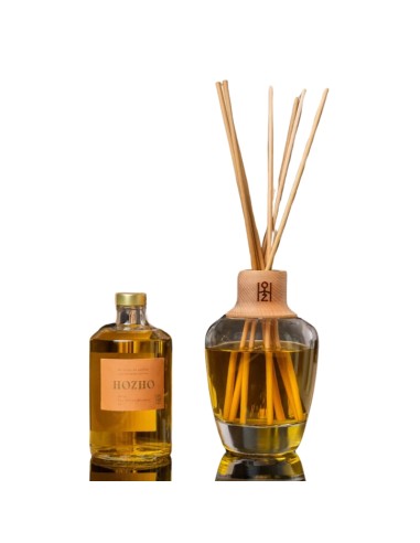 COFFRET DIFFUSEUR D'INTÉRIEUR "TERRES...