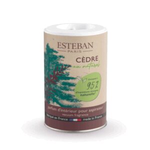 POUDRE PARFUMÉE POUR ASPIRATEUR - ESTEBAN