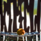 4-00128560-3.jpg
