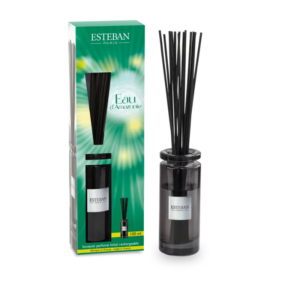 BOUQUET PARFUMÉ INITIAL EAU D'AMAZONIE RECHARGEABLE 100 ML - ESTÉBAN