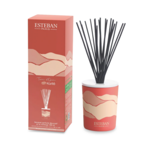BOUQUET PARFUMÉ DÉCORATIF TERRE D'OCRE KARITÉ RECHARGEABLE 100 ML - ESTÉBAN