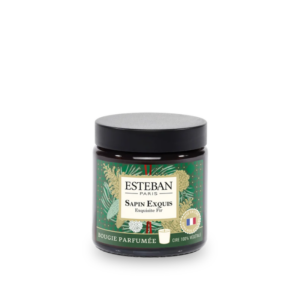 BOUGIE PARFUMÉE ÉDITION LIMITÉE NOËL 2026 POMMADIER SAPIN EXQUIS 90 G - ESTEBAN
