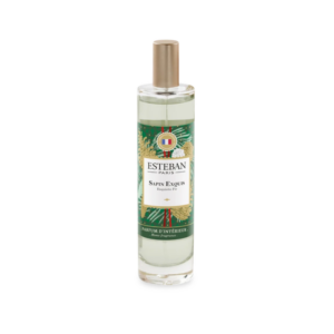 VAPORISATEUR D'AMBIANCE ÉDITION LIMITÉE NOËL 2026 SAPIN EXQUIS 75 ML - ESTEBAN
